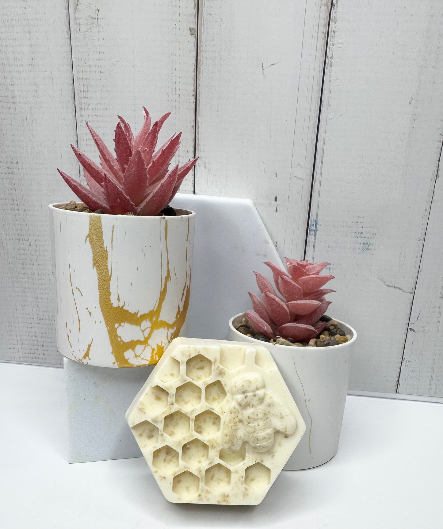 AVENA & LECHE DE CABRA